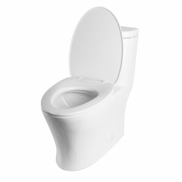 Contemporary Toilet – One Piece Dual Flush with Soft-Close Seat