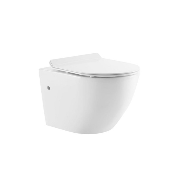 Contemporary Wall Hung Toilet & Carrier Tank – Dual Flush with Soft-Close Seat