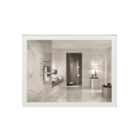 LED 47-inch Bathroom Mirror with Frosted Edge