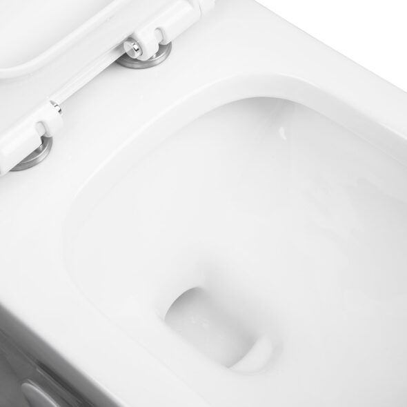 One Piece Dual Flush with Soft-Close Seat