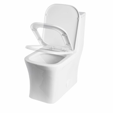 One Piece Dual Flush with Soft-Close Seat
