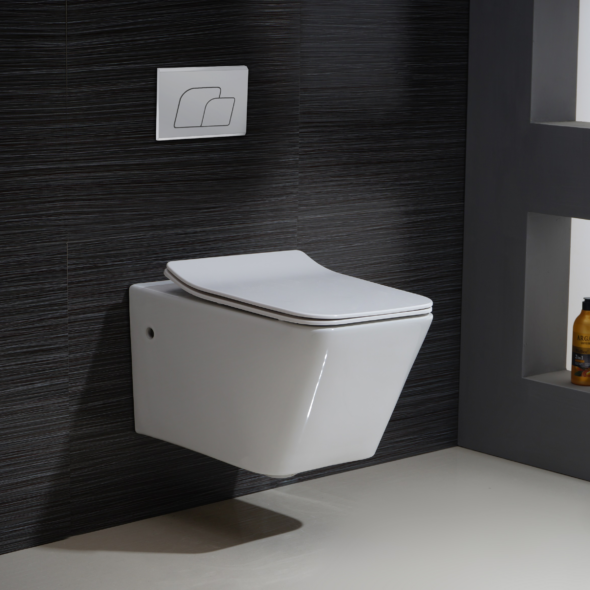 Wall Hung Toilet & Carrier Tank – Dual Flush with Soft-Close Seat install