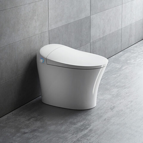 Contemporary Tankless Smart Toilet